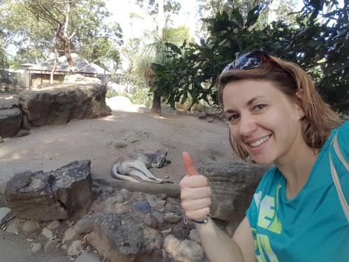 Selfie avec un kangourou